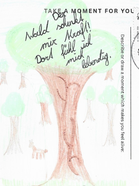 anonymous The forest gives me strength. I feel alive there.