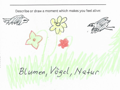 flowers, birds, nature